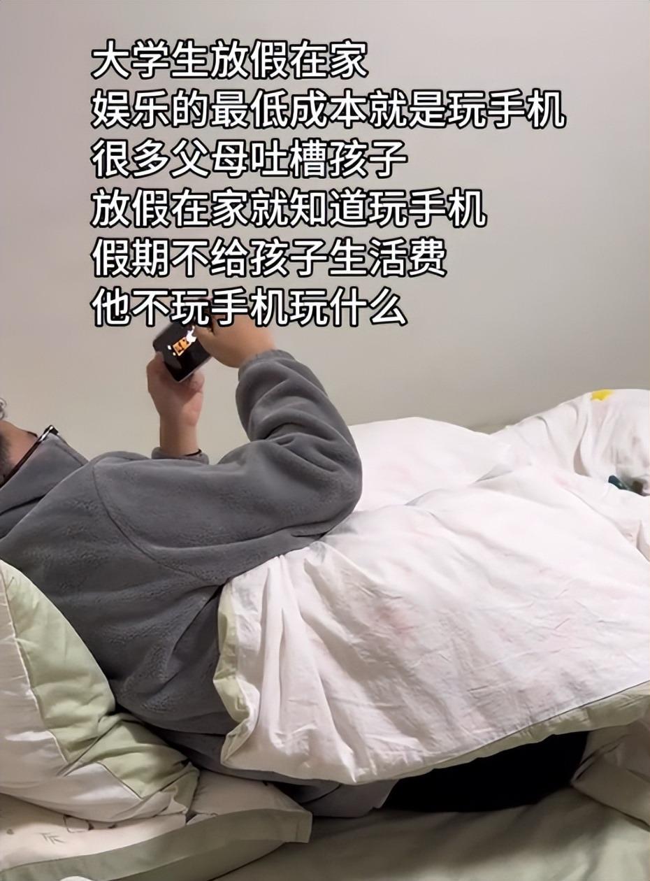 乐鱼体育官网平台-“家境差回去也只能玩手机”,大学生戳中父母痛处:穷就别提要求